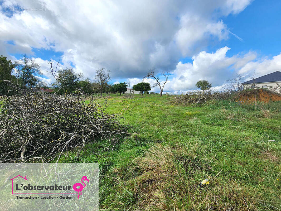 Terrain à EHUNS