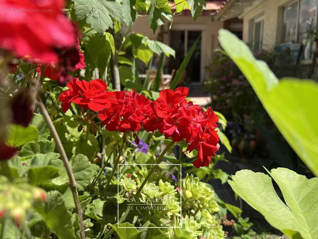 BUSCA - Rue du Gorp - Authentique maison toulousaine en briques foraines avec jardin et double place de parking en sous sol boxa - photo 3
