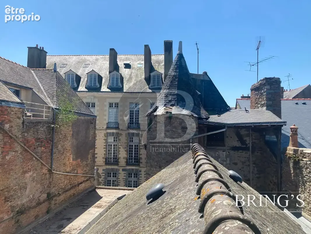 Maison 9 pièces 251 m² à vendre à Chateaubriant (44110) - photo 3