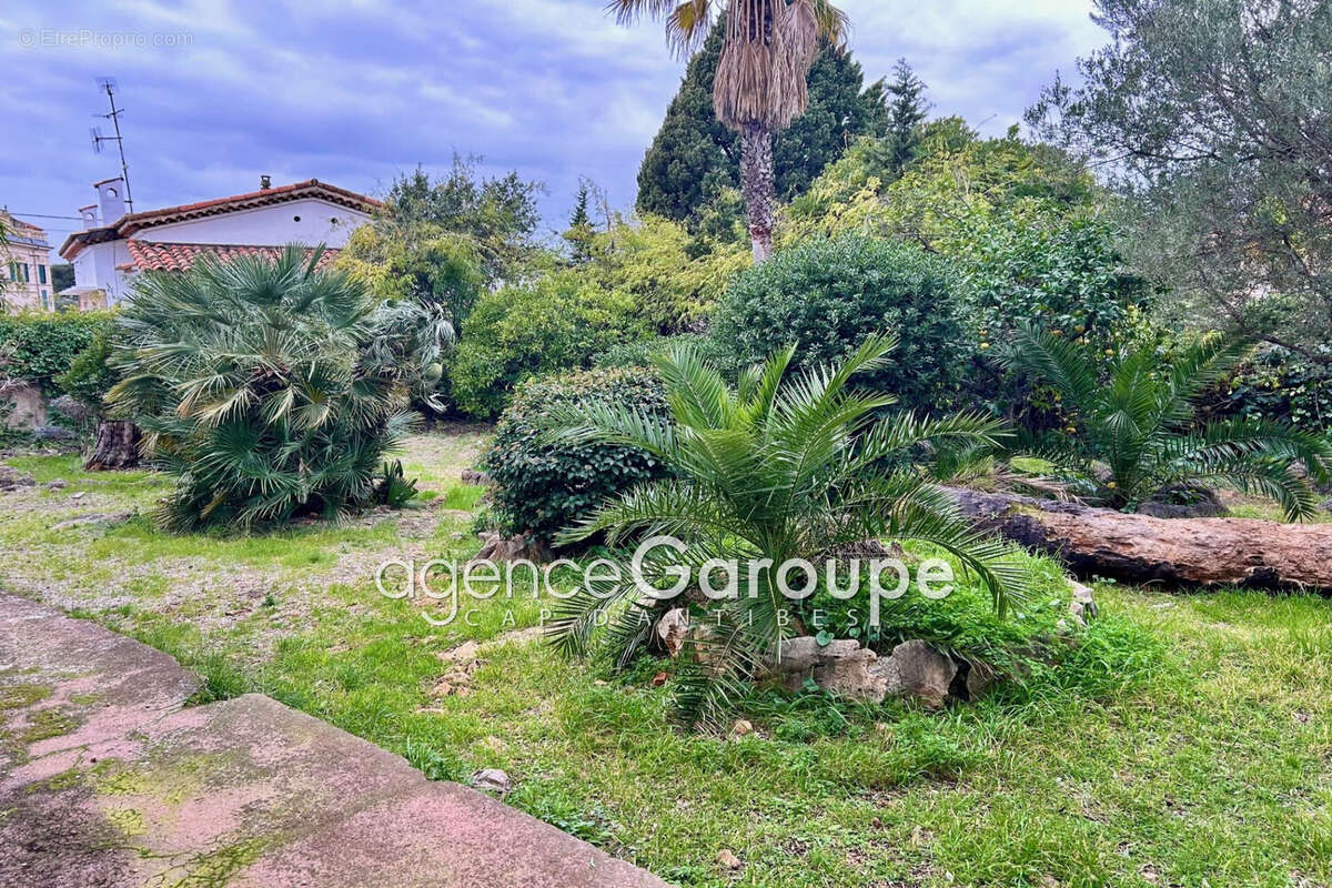 Maison à ANTIBES