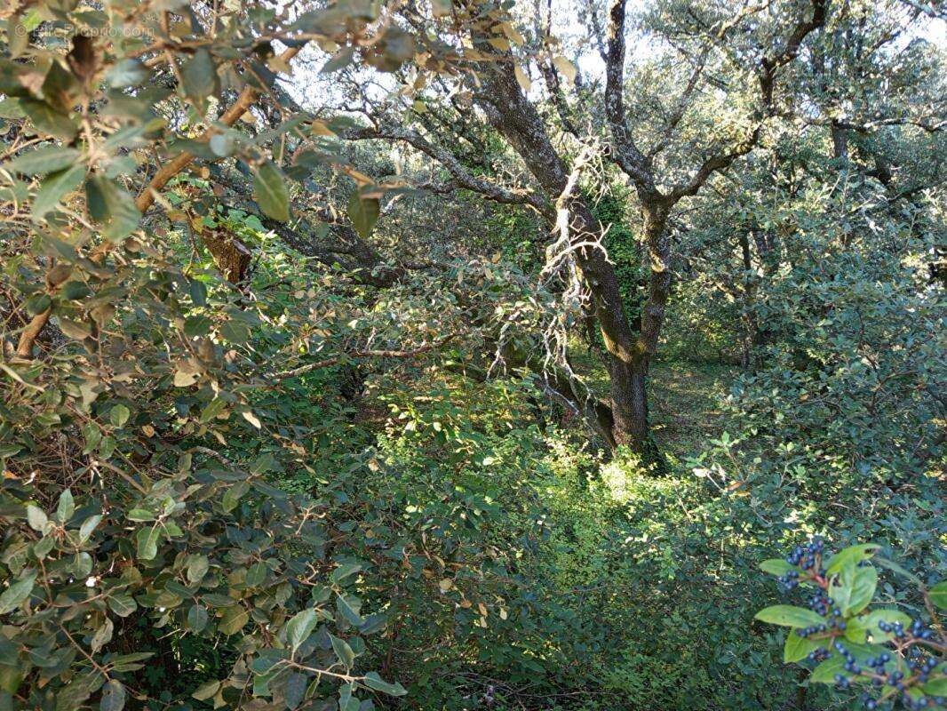 Maison à MONTSEGUR-SUR-LAUZON