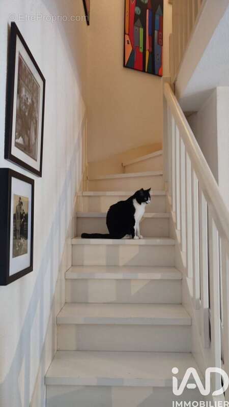 Photo 7 - Appartement à SAINT-MEDARD-EN-JALLES