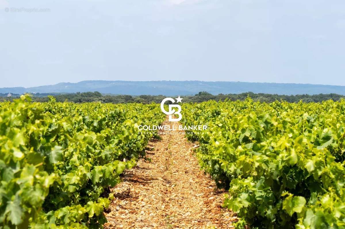 Maison à SAINTE-CECILE-LES-VIGNES