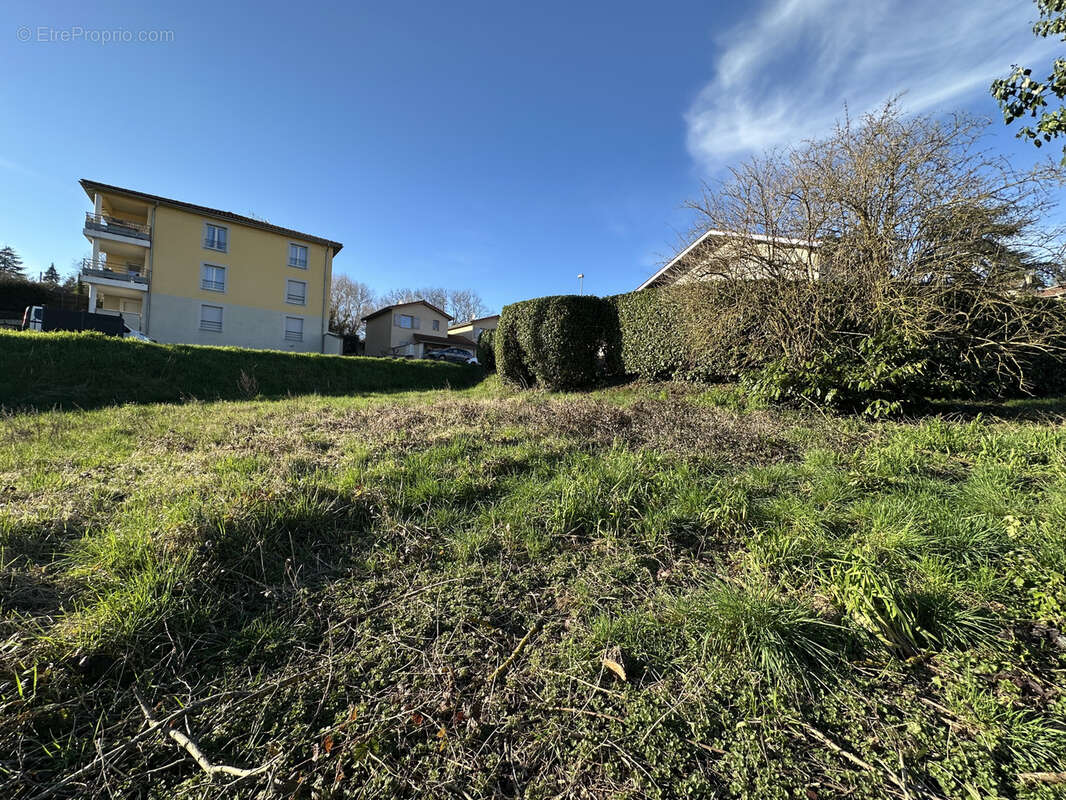 Terrain à THURINS