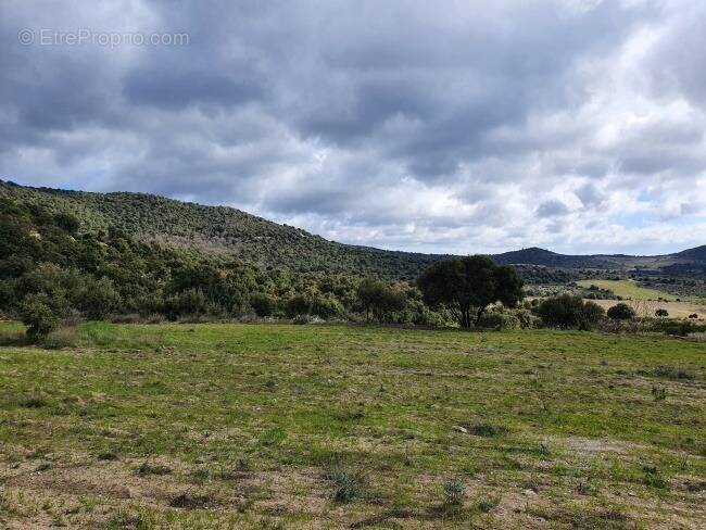 Terrain à TARERACH