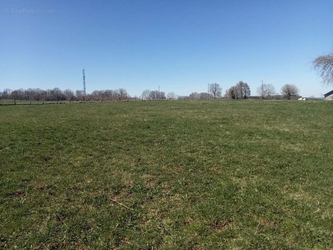 Terrain à BROMONT-LAMOTHE