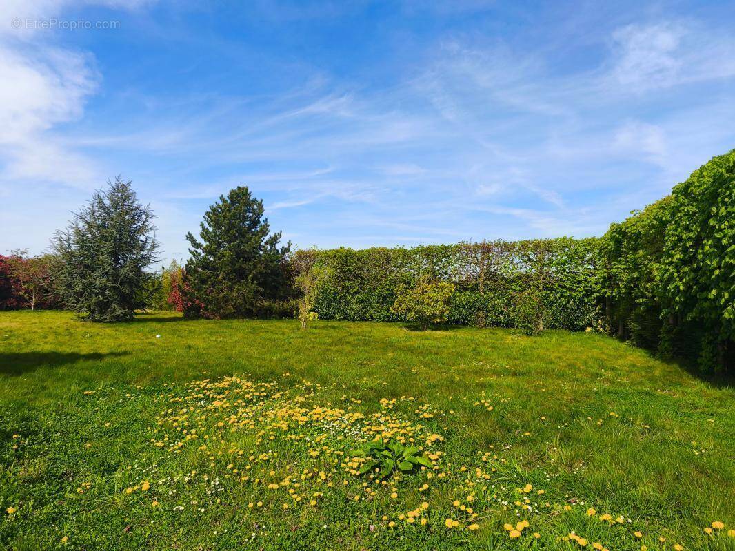 Terrain à THUMERIES