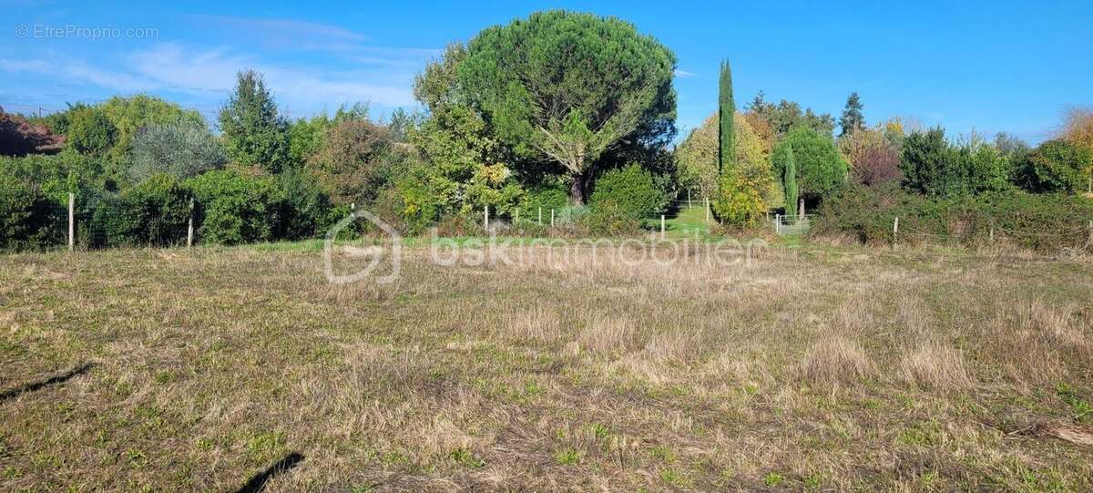 Terrain à SAINT-PAUL-SUR-SAVE