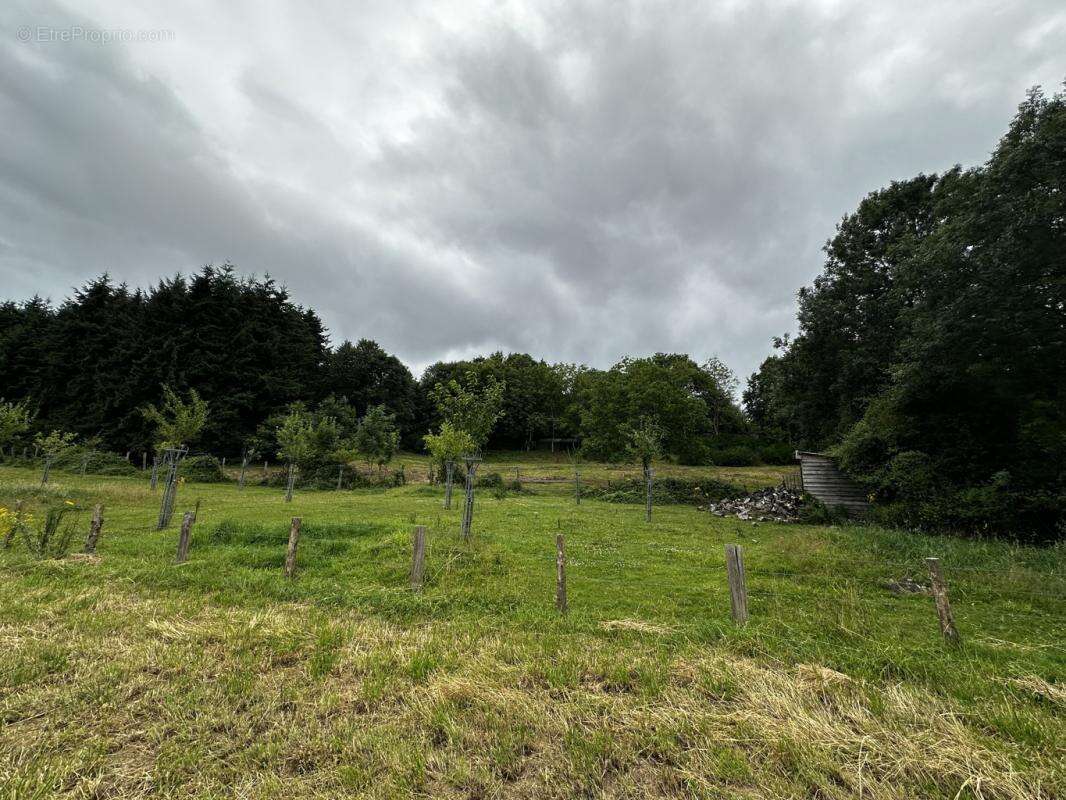 Terrain à SAINT-CYR-LA-ROSIERE