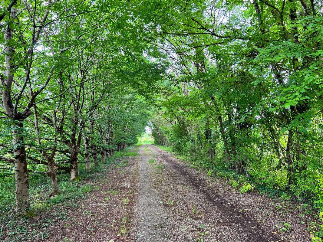 Charmante propriété dans le Fronsadais - photo 18