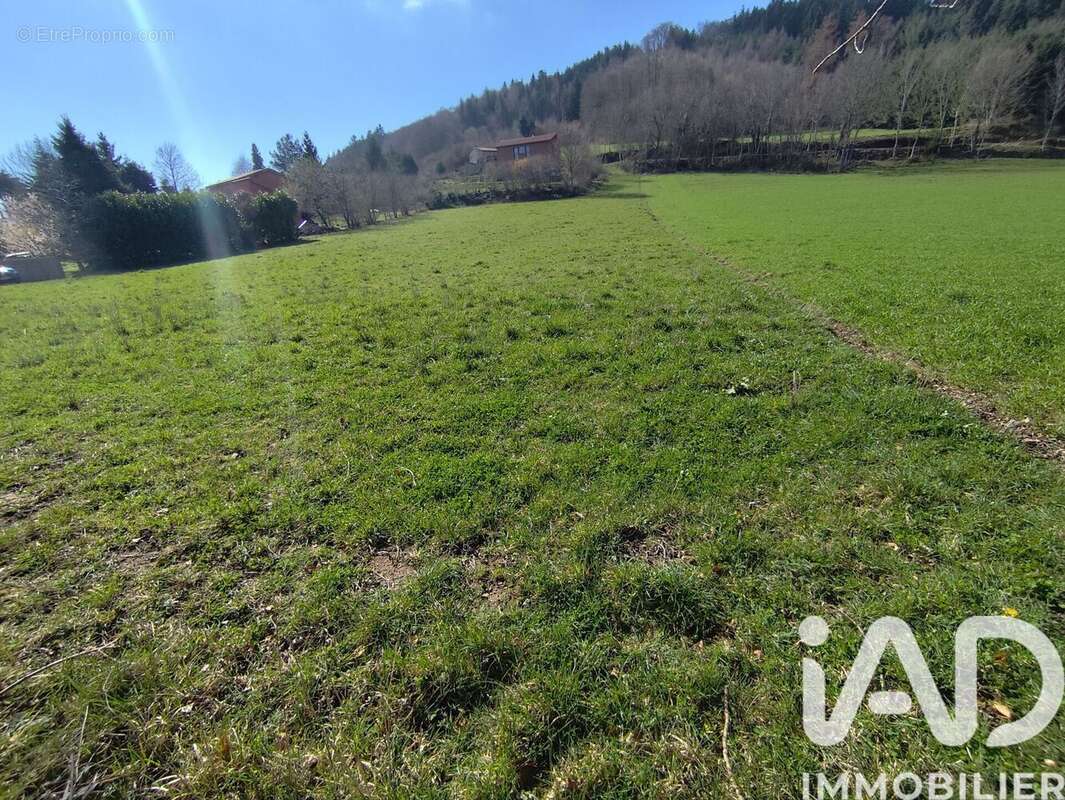 Terrain 3155 m² à Saint-Jean-Soleymieux  - photo 4