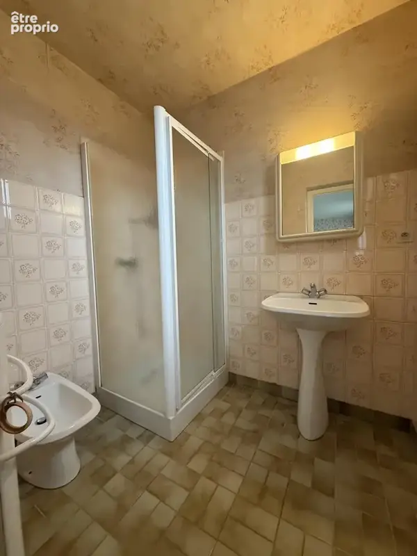 Maison 310 m² à Saint-Laurent-Du-Pape  - photo 9