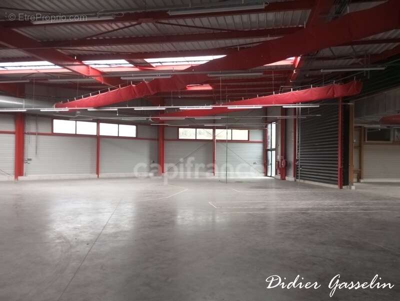 Commerce à BERD'HUIS