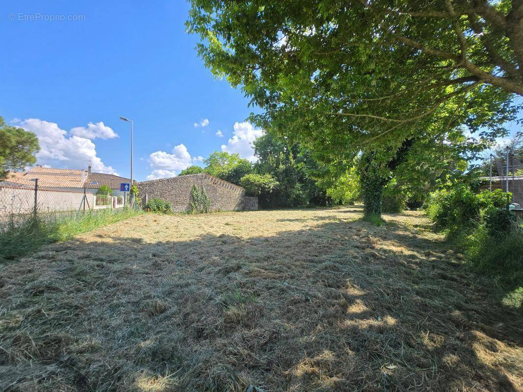 Terrain à ECHILLAIS