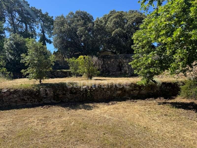 Terrain à CORBARA