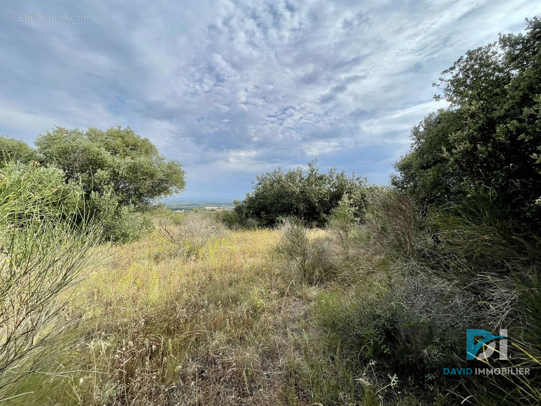 Terrain à SAINT-THIBERY