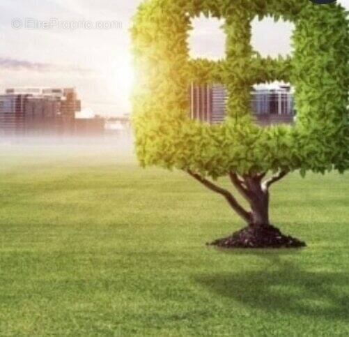 Terrain à BELLEVILLE-SUR-VIE