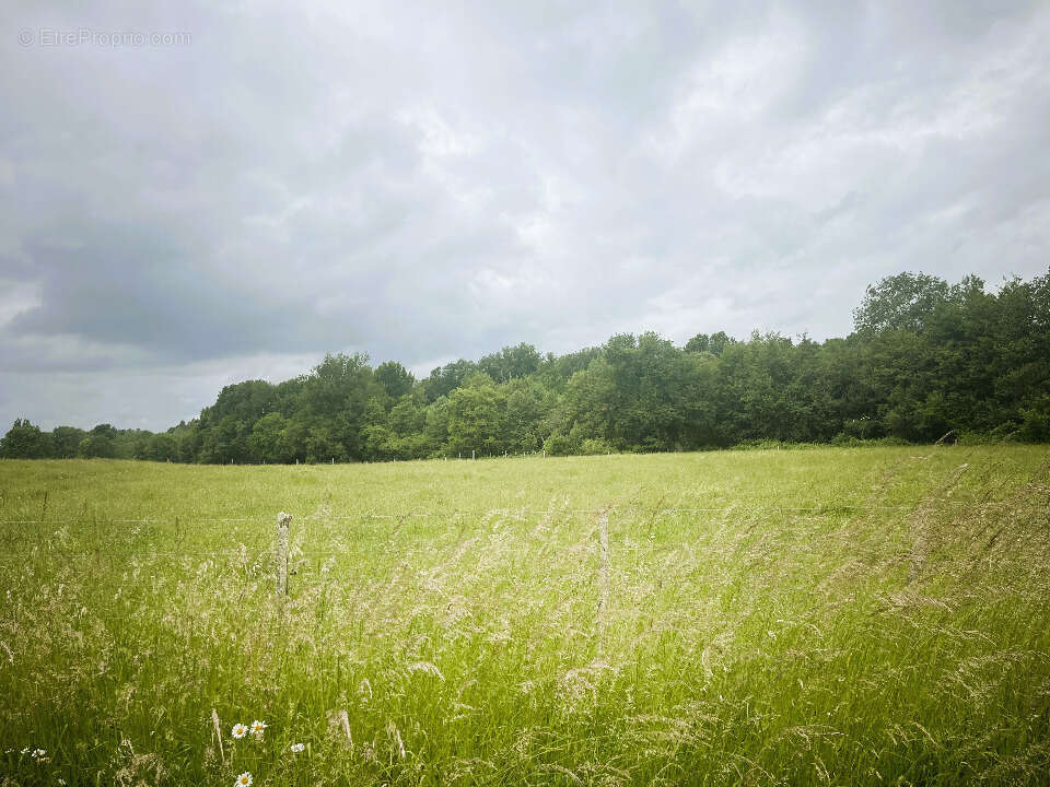 Terrain à LUGON-ET-L'ILE-DU-CARNAY