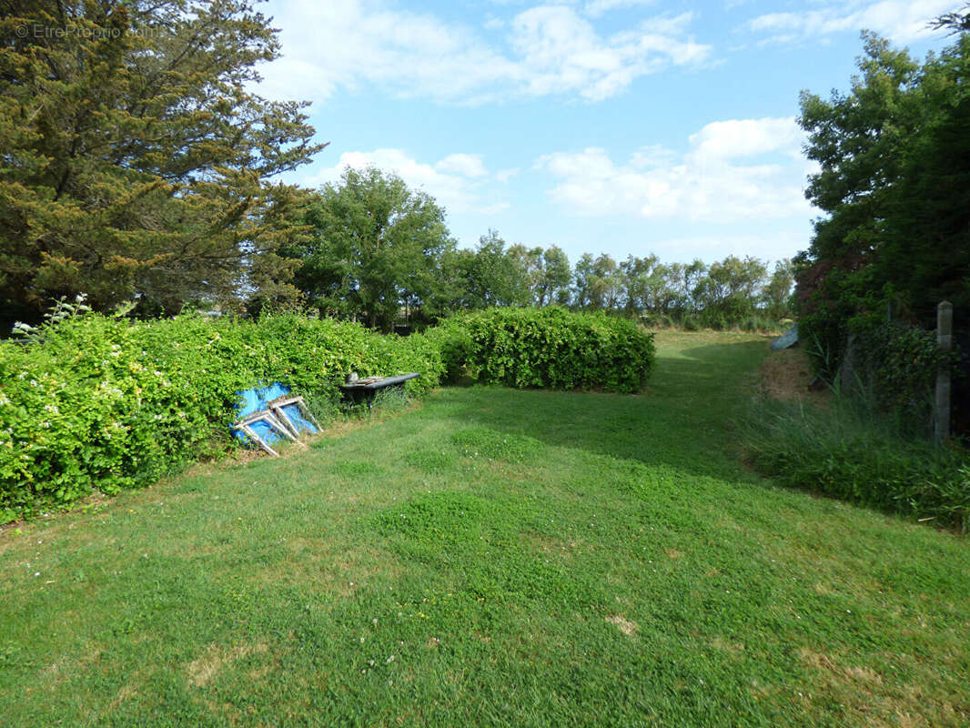 Maison Le Fenouiller - photo 5