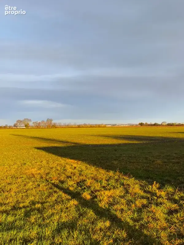 Terrain à SAINTE-LHEURINE