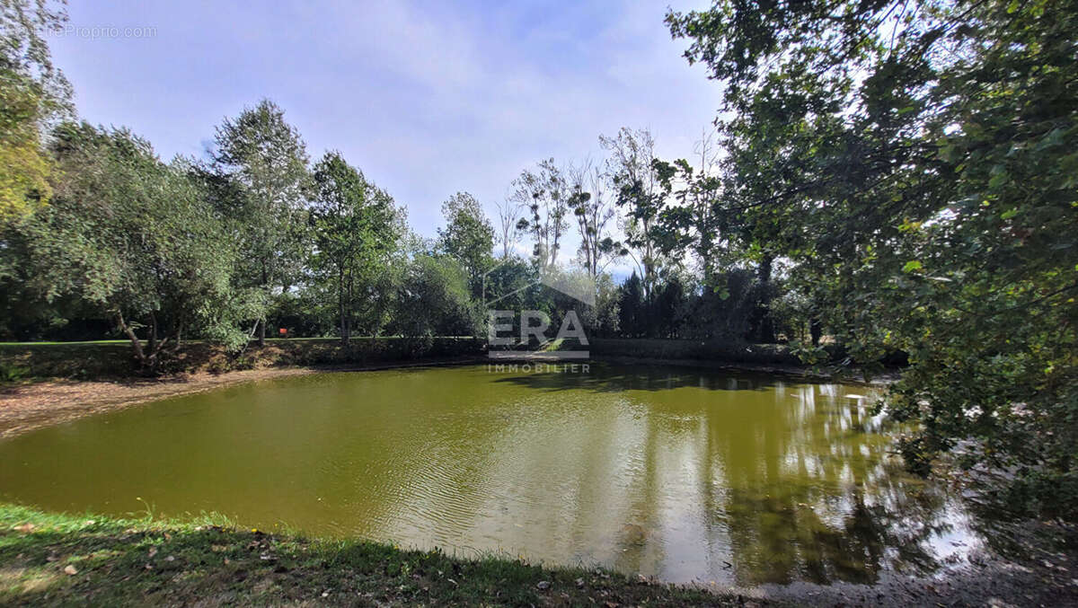 Demeure de caractère de 286m² habitable avec piscine au sel et prestations de qualité - photo 17