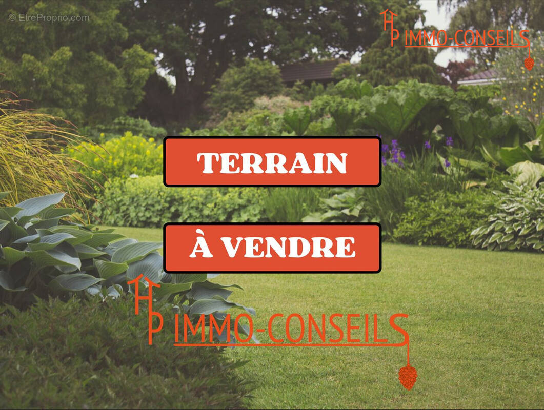 Terrain à NOZAY