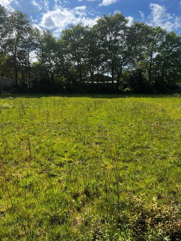 Terrain à LA GARNACHE