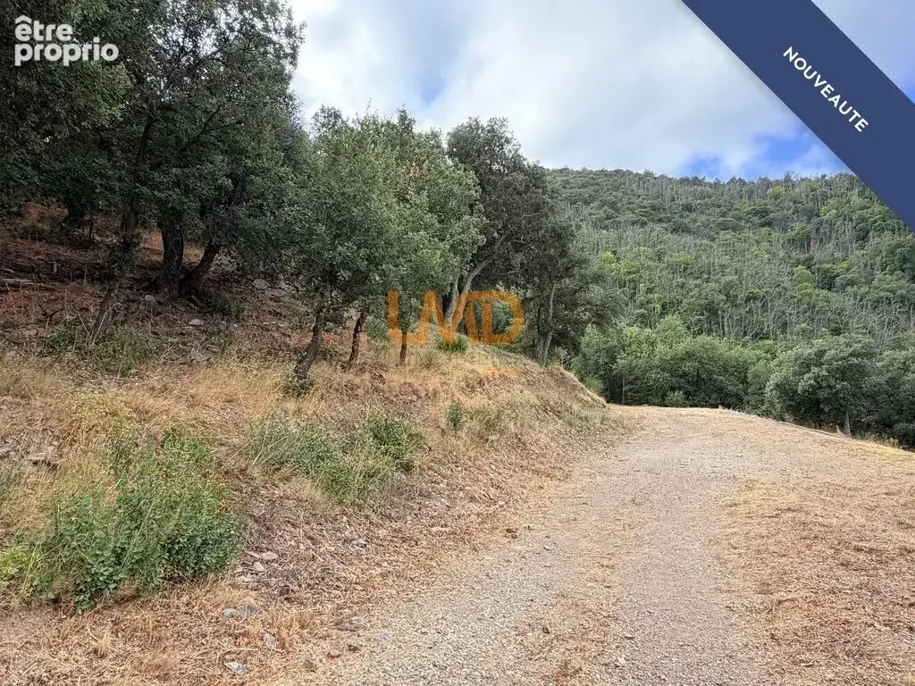 Mas 242 m2 Sur 55 hectares - photo 21