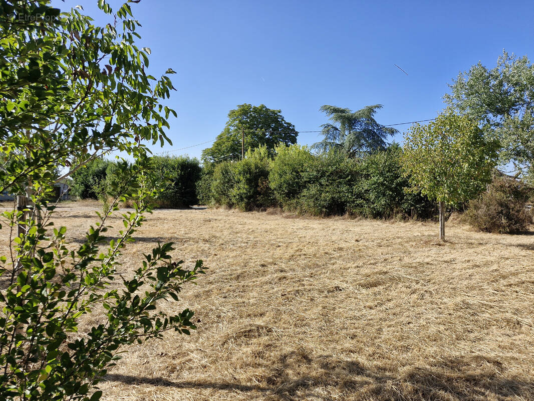 Terrain à SAINT-SATURNIN-DU-BOIS
