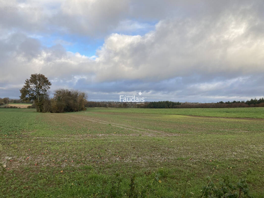 Terrain à SAINT-GERMAIN-D'ELLE
