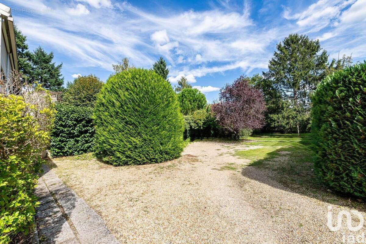 Photo 3 - Commerce à FONTAINEBLEAU