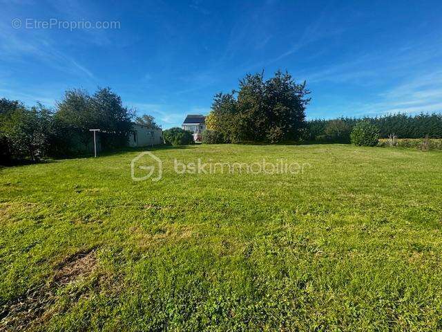 Charmante maison 130M² 4ch, garage + local pro ou locatif 3455M² terrain Savigné 86400 - photo 12