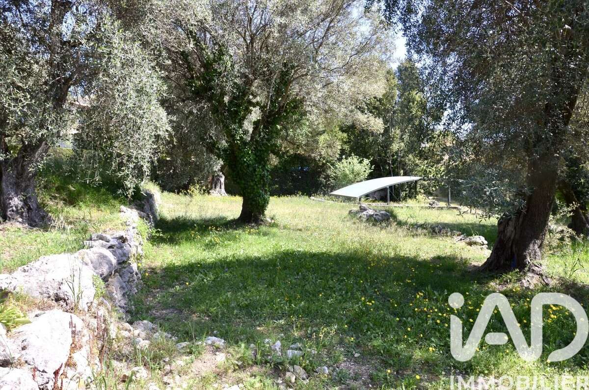 Photo 5 - Terrain à ROQUEFORT-LES-PINS