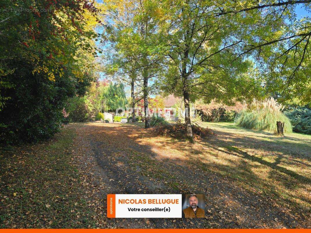 Charme, espace et nature : belle maison périgourdine à Sigoulès - photo 11