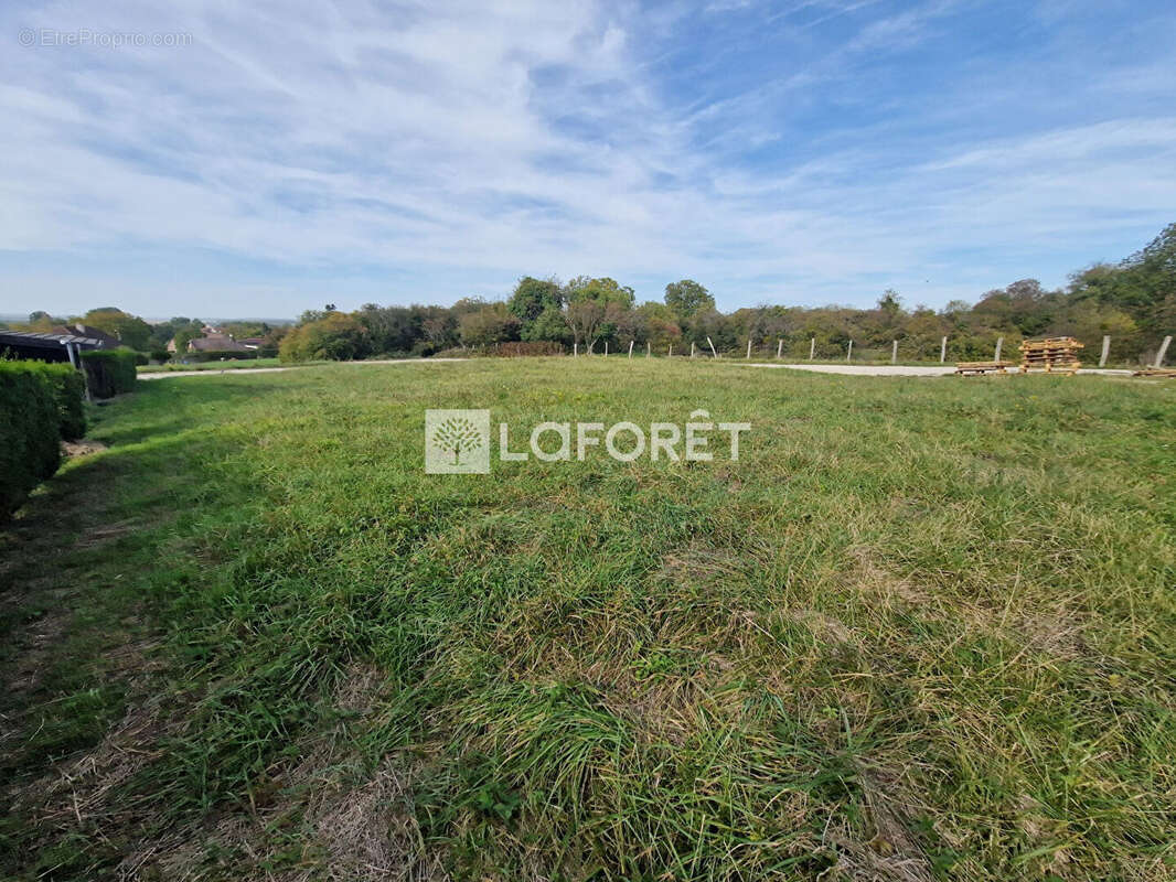 Terrain à LAVONCOURT