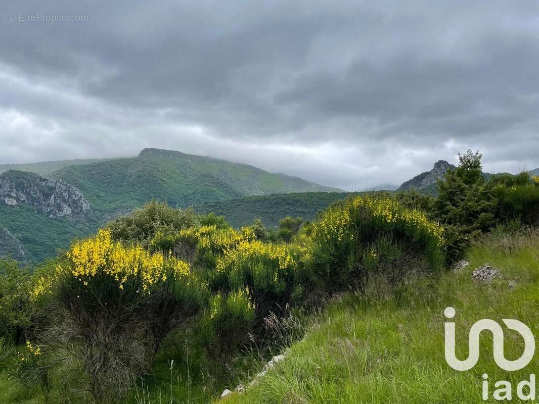 Photo 2 - Terrain à SOSPEL