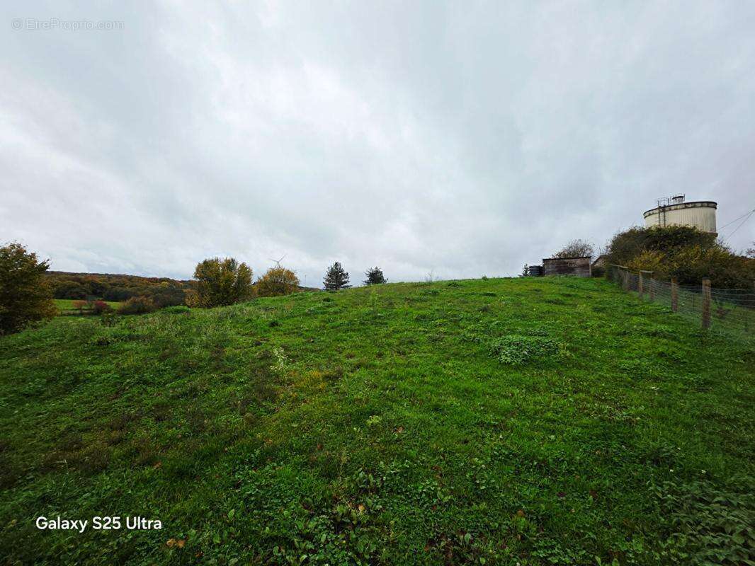 Terrain à FONTENELLE-MONTBY