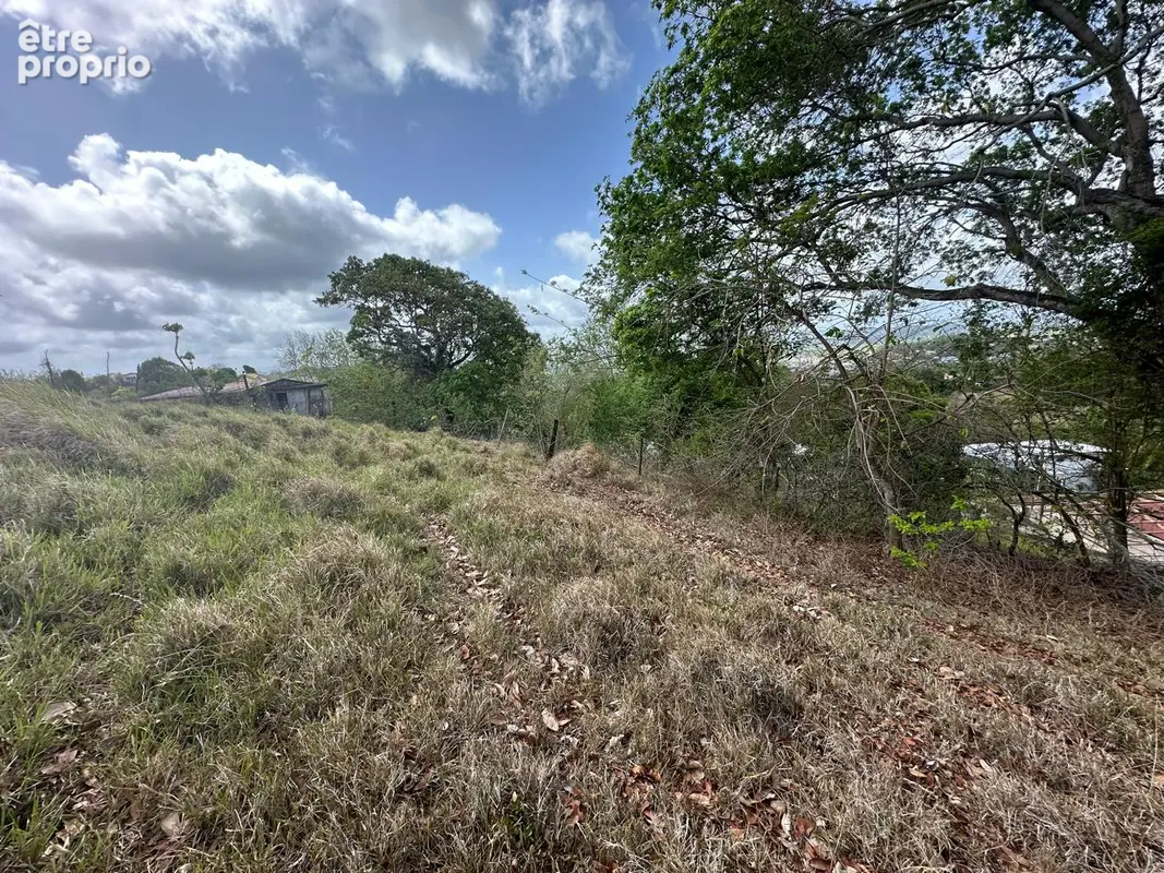Photo Terrain à Riviere-Salee au prix de 145 000€