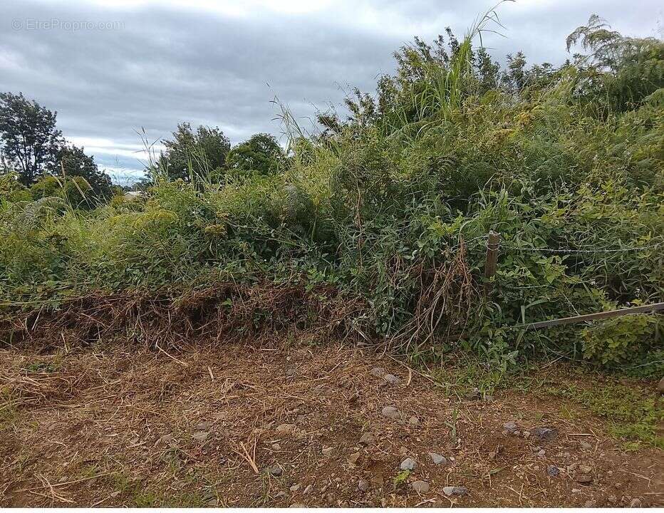 Terrain à L'ETANG-SALE