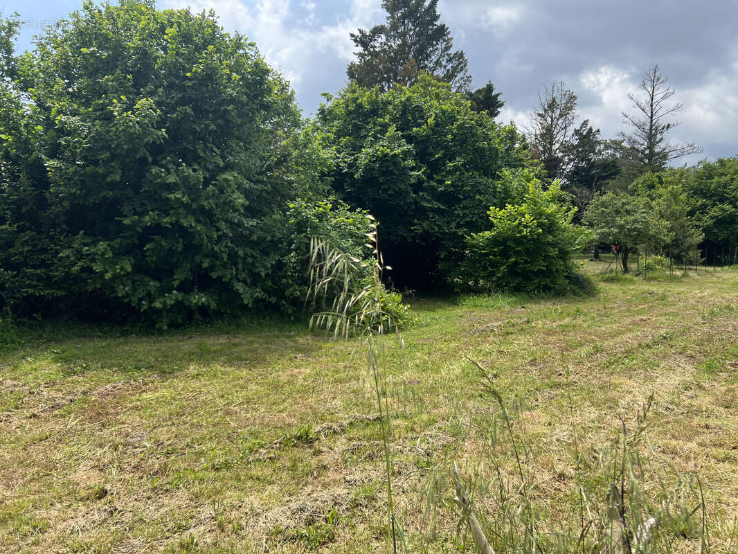 Terrain à FINHAN