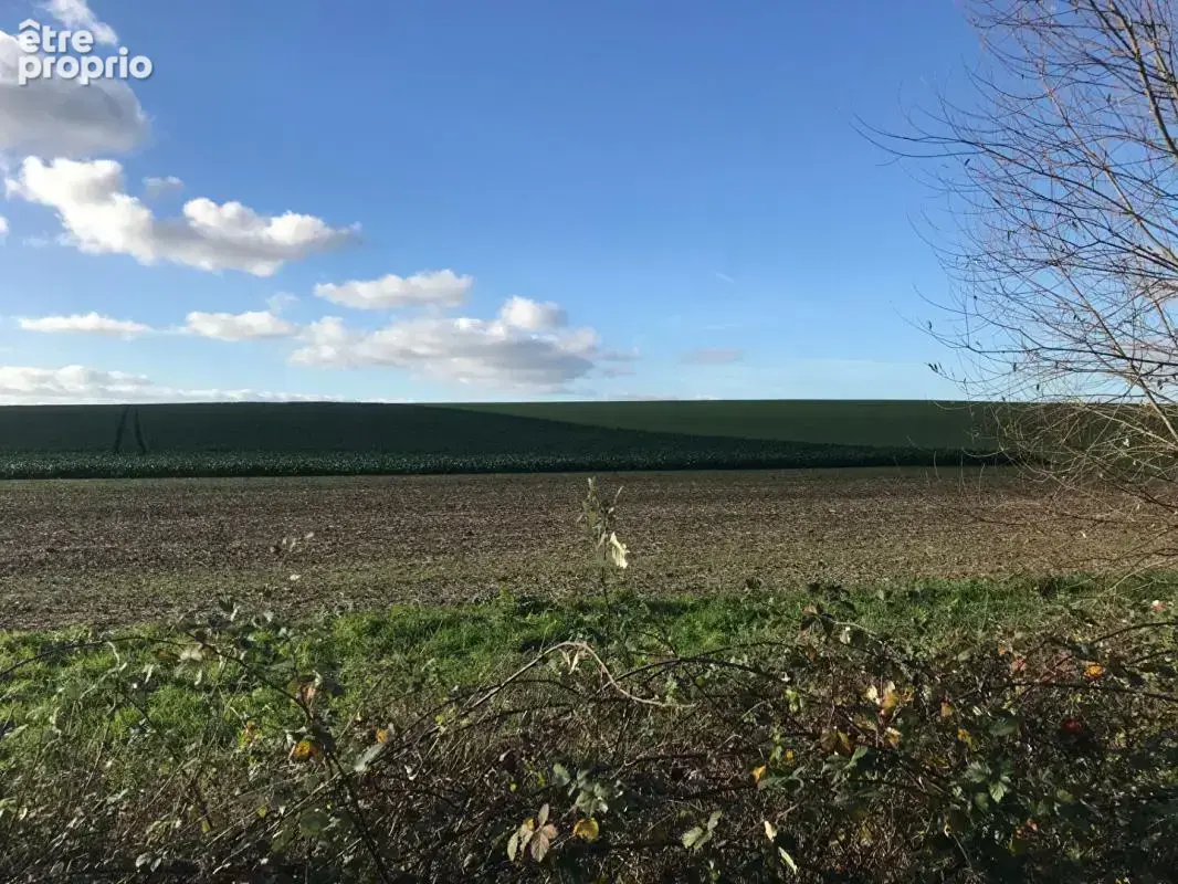 Beau terrain constructible de 1013m², belle façade, secteur recherché - photo 2