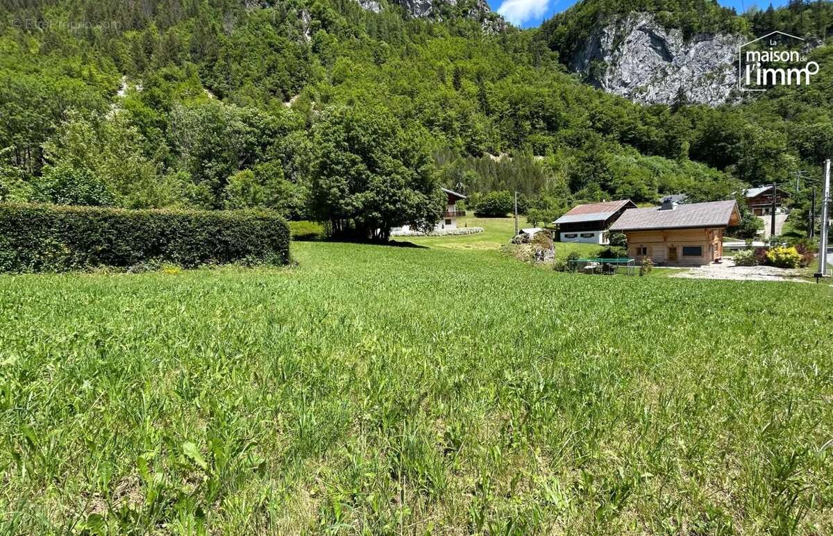 Terrain à ABONDANCE