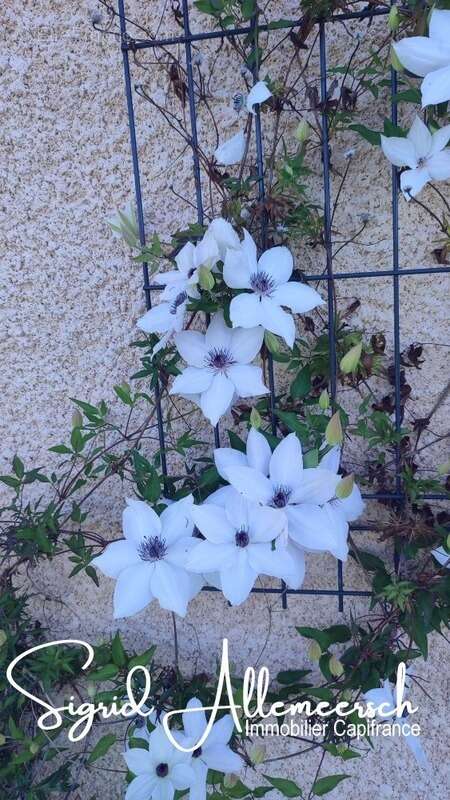 Maison à CARLA-BAYLE