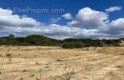 Terrain à PORTEL-DES-CORBIERES