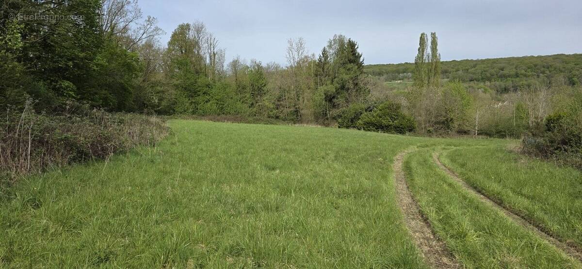Terrain à SAINT-SAUVEUR