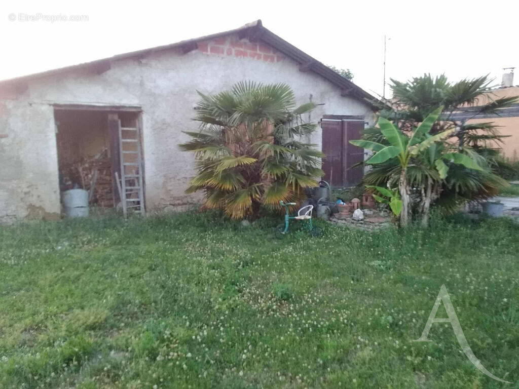 Appartement à CINTEGABELLE