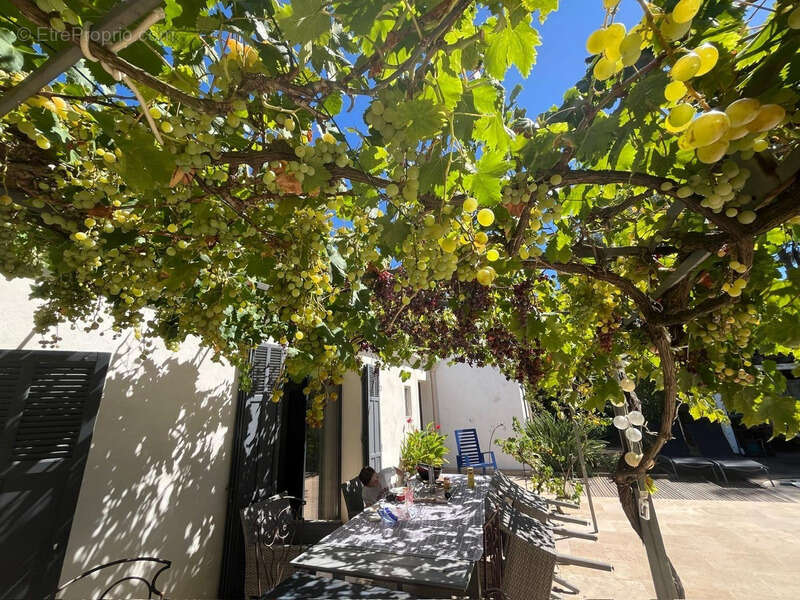 Maison à vendre 7 pièces SANARY SUR MER (83) - photo 22