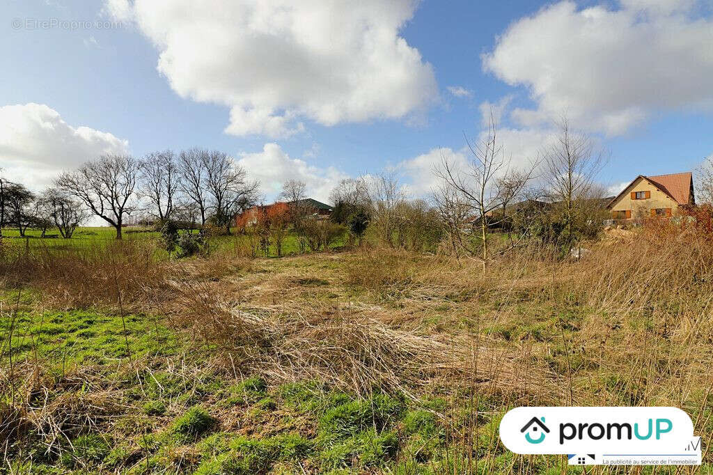 Terrain à BEAUVAL