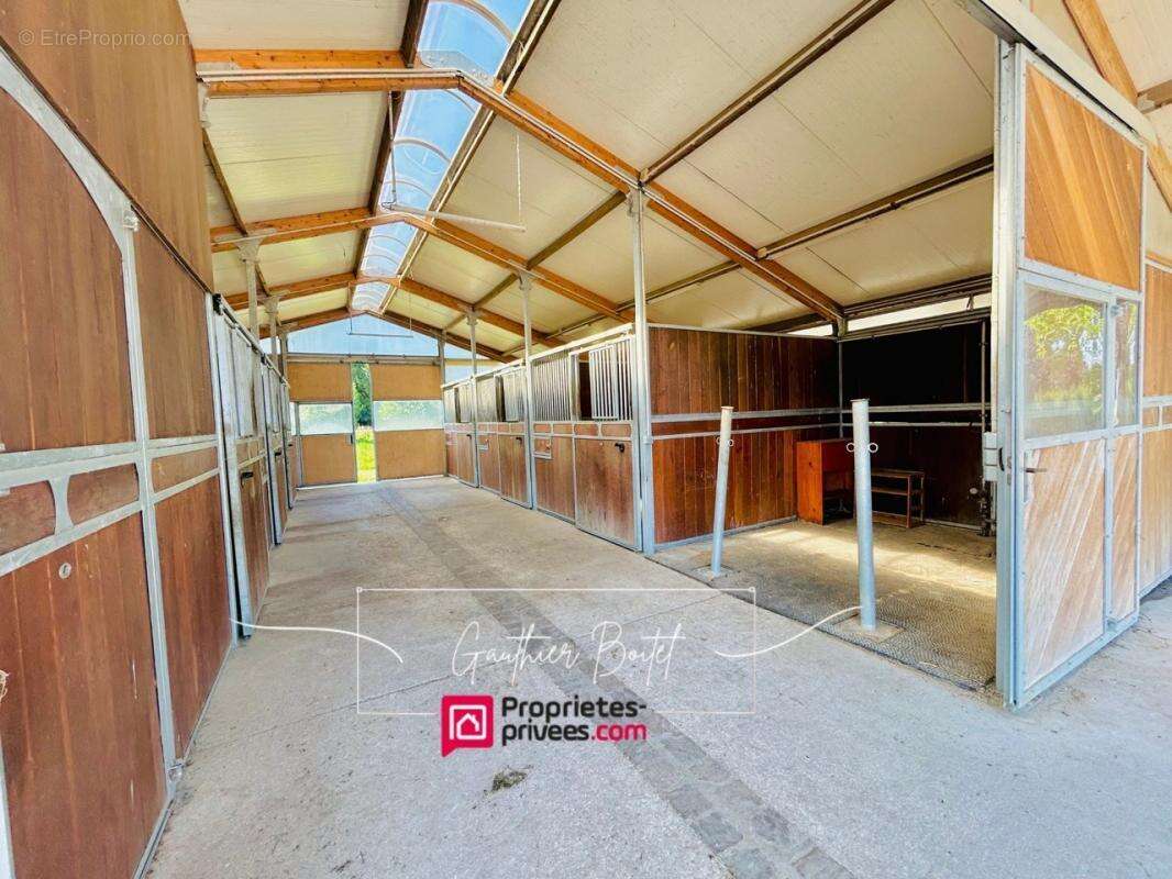 Maison à SAINT-AUGUSTIN