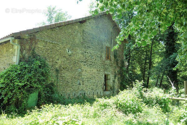 Mill outside back - Maison à SAINT-MAURICE-DES-LIONS